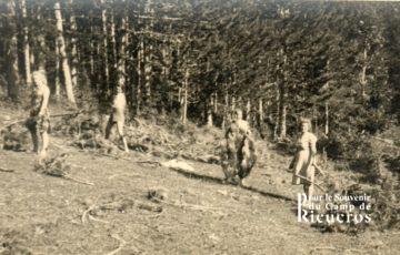 Corve de bois au camp en 1941